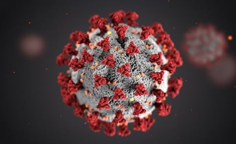 Comment renforcer le corps après COVID-19