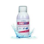 GINGISEPT bain de bouche 250ml