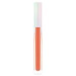 LA FerA lip plumper n05