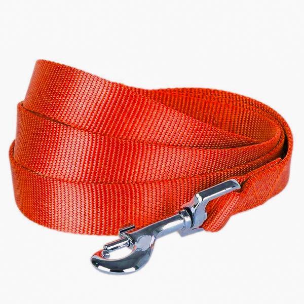 Laisse Nylon 25 Mm Rouge Laisse Nylon 25 Mm Rouge