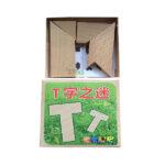 jeu-intelligence-bois-pm-1